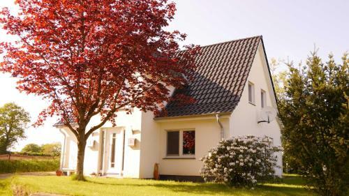 Apartamento Schumann_ Nicole