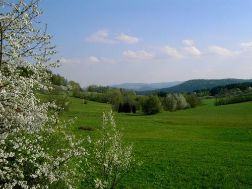 Apartamento Landhaus Wildfeuer