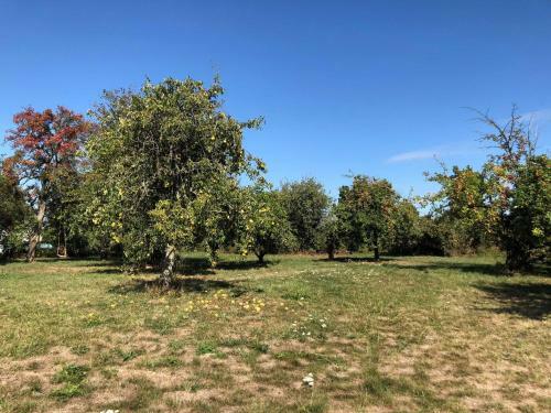 Apartamento Landhaus Karnin