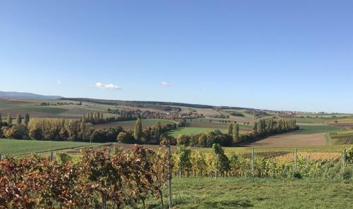 Hostal Pension Und Weingut Hirschhof