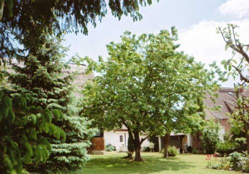 Ferienhaus Reetzow Use 3111