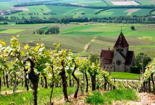 Golf- Und Landhotel Rheinhessen