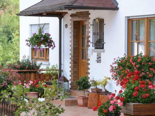 Apartamento Bergfranzenhof