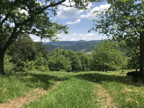 Vorderb�hlhof - Kimmigs Ferienh�usle