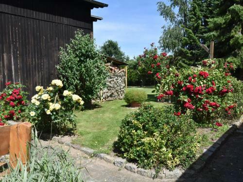 Comfortable Apartment In Zweedorf With Barbecue
