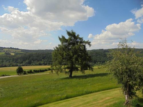 Apartamento Ferienhaus Bauer