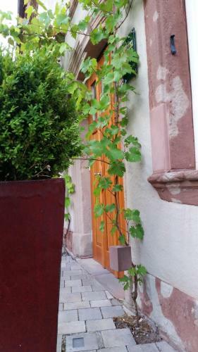 Hotel Landgrafen-m�hle