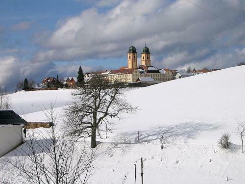 Apartamento Schreinerh�usle