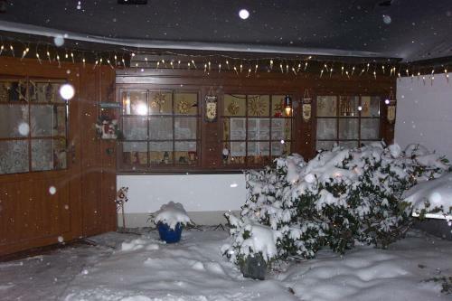 Hostal Elbe Radstation