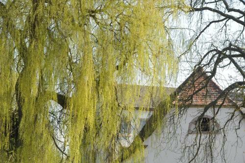 Hotel Zeiskamer M�hle
