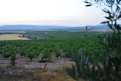 Agroturismo Casa Rural Rosendo