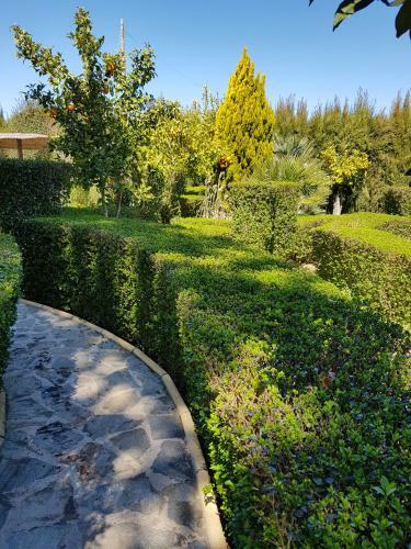 Agroturismo Casa Rural El Limonar