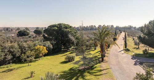 Bed & Breakfast Hacienda Las Tres Ni�as