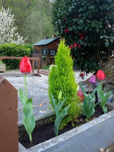 Agroturismo Casa de Aldea La Pescal