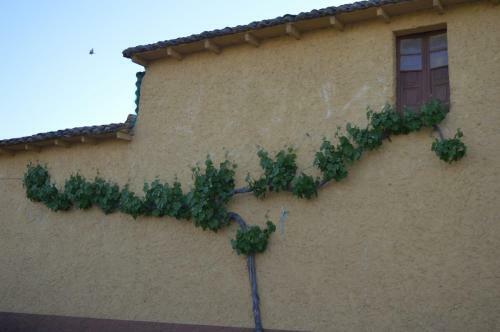 Agroturismo Casa Rural Los Ll�ganos