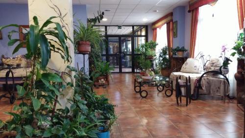Hotel Restaurante Segobriga