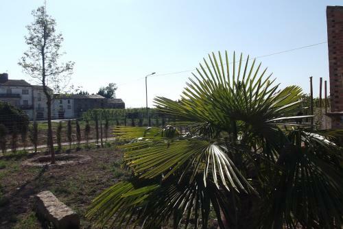 Agroturismo Ca La Provid�ncia
