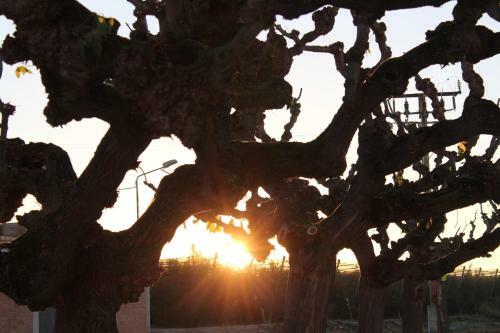 Agroturismo Ca La Provid�ncia