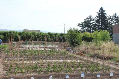 Agroturismo Ca La Provid�ncia