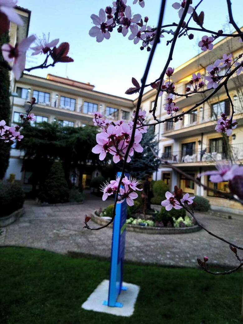 Hotel Balneario de Ledesma