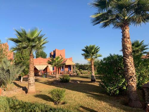 Riad Beloiseau