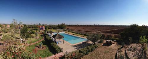Riad Beloiseau