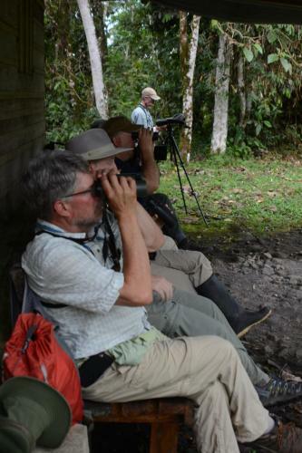 Birdwatchers House Y Lodge