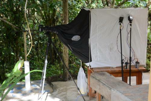 Birdwatchers House Y Lodge