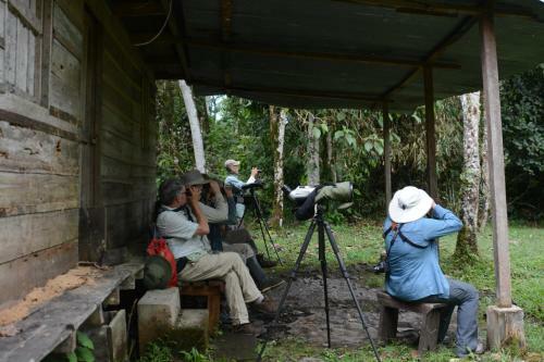 Birdwatchers House Y Lodge