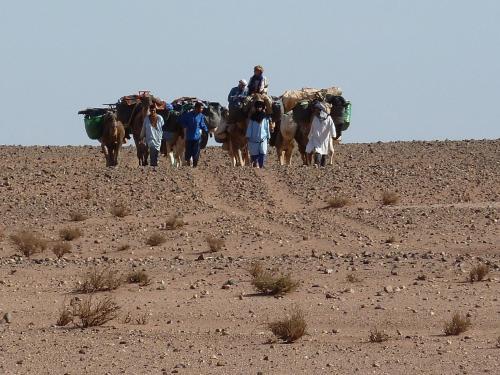 Bivouac Tamgroute