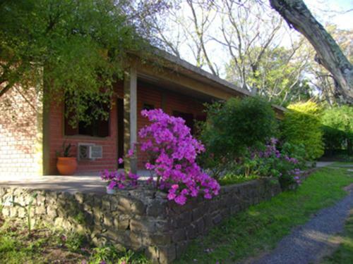 Posada Del Bosque