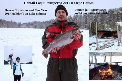 Lodge Kalastusm�kki Jokiniemi Saimaalla