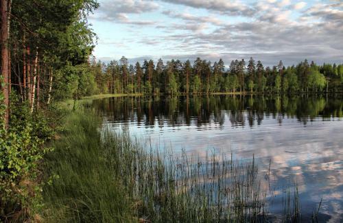 Kultaj�rvi Holiday Home