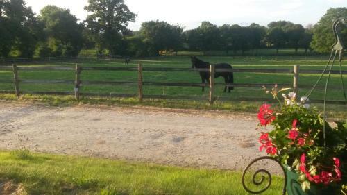 Apartamento Les Gites Haras Del Paradiso