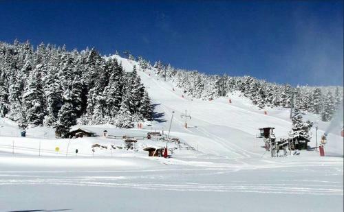 Apartamento Studio Face Aux Pistes � Pyr�n�es 2000 - Maeva Particuliers 85507