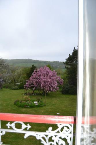 Bed & Breakfast Le Manoir de Bonningues Les Ardres