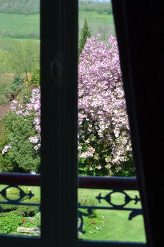 Bed & Breakfast Le Manoir de Bonningues Les Ardres
