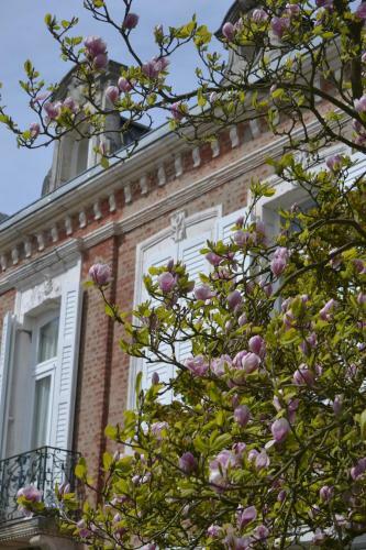 Bed & Breakfast Le Manoir de Bonningues Les Ardres