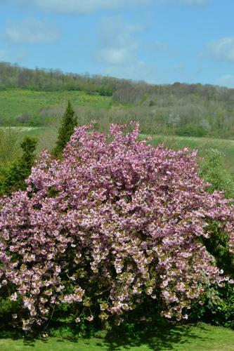 Bed & Breakfast Le Manoir de Bonningues Les Ardres