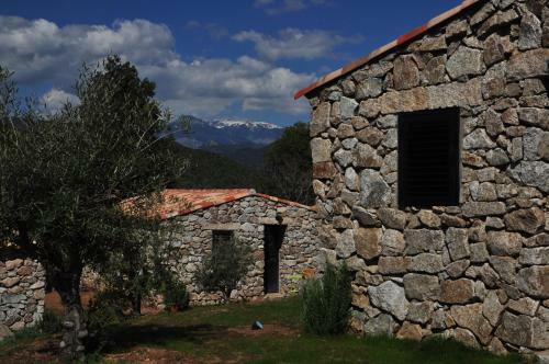 Bed & Breakfast Bergerie Du Prunelli