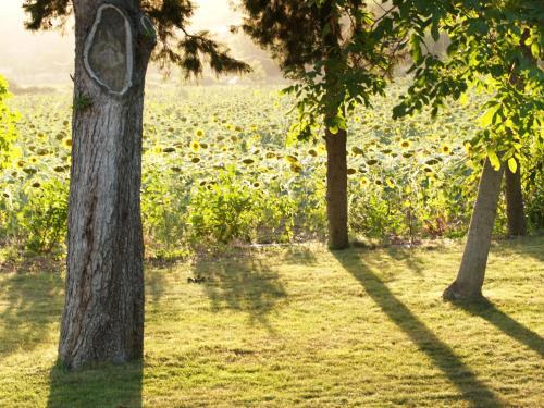 Bed & Breakfast Domaine de Luzenac