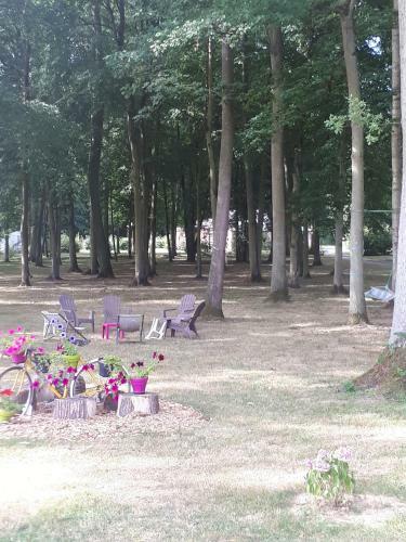 Gite Le Bois Fleuri