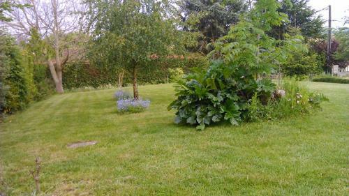 Hostal Maison D'h�tes Les Bruy�res