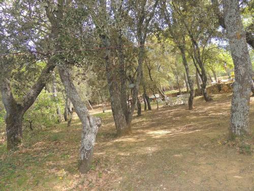 Hostal Les Ch�nes Verts