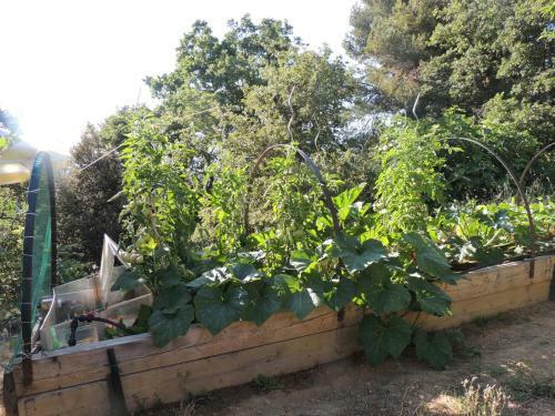 Hostal Les Ch�nes Verts