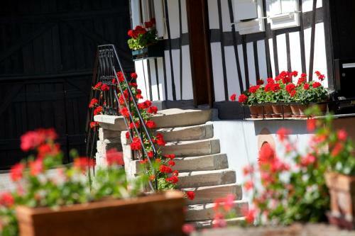 Bed & Breakfast Maison Des G�tes Ungerer