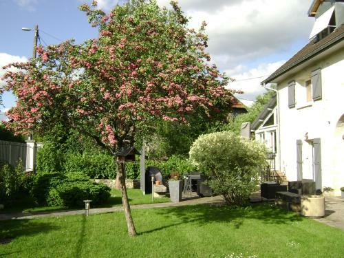 Bed & Breakfast Les Petunias