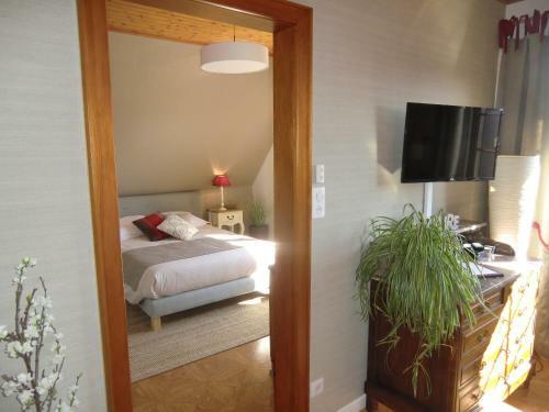 Apartamentos G�te Tire Bouchon