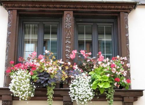 Apartamentos G�te Fleur De Vignes