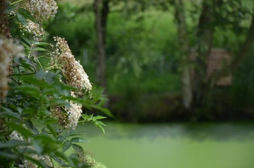 Bed & Breakfast Le Moulin de Charin